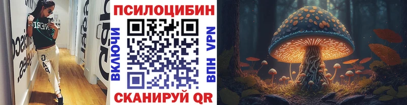 наркота  Будённовск  Псилоцибиновые грибы мицелий 